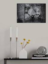 A.P. Poster och Canvastavla
