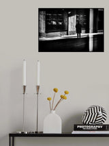 D i S i L L u S i o N e D Poster och Canvastavla