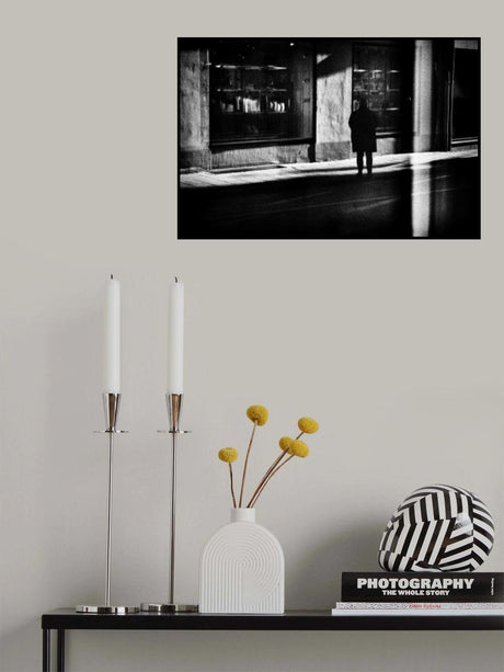 D i S i L L u S i o N e D Poster och Canvastavla