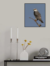 The Kite Poster och Canvastavla