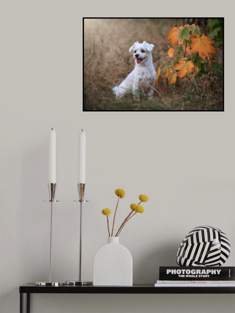 Autumn vibe... Poster och Canvastavla