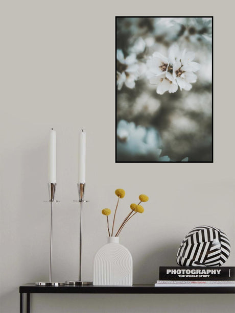 Almond Blossoms Poster och Canvastavla