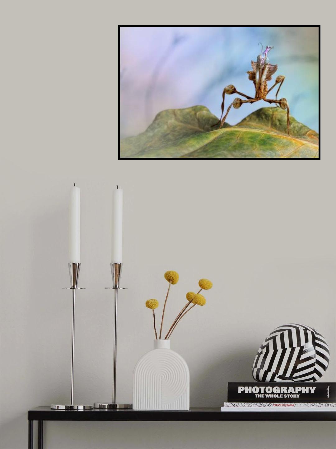 Little devil Poster och Canvastavla