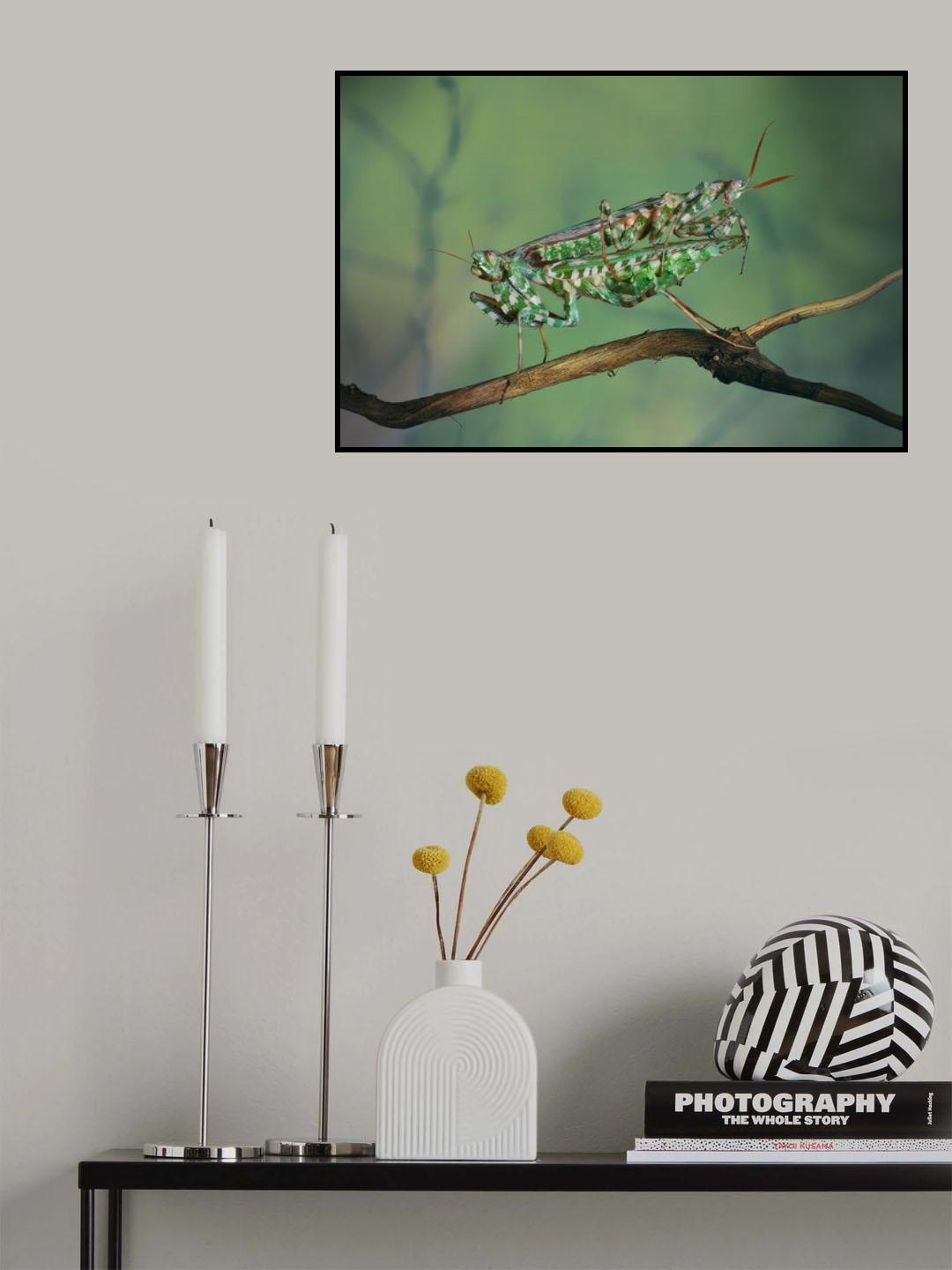 Rookie Poster och Canvastavla