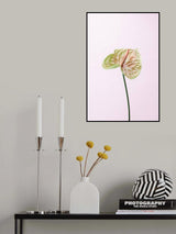 FLAMMINGO FLOWER Poster och Canvastavla