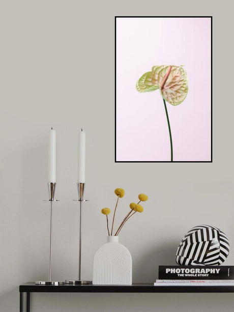 FLAMMINGO FLOWER Poster och Canvastavla