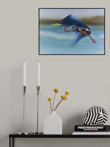 Flying in Slow Motion Poster och Canvastavla