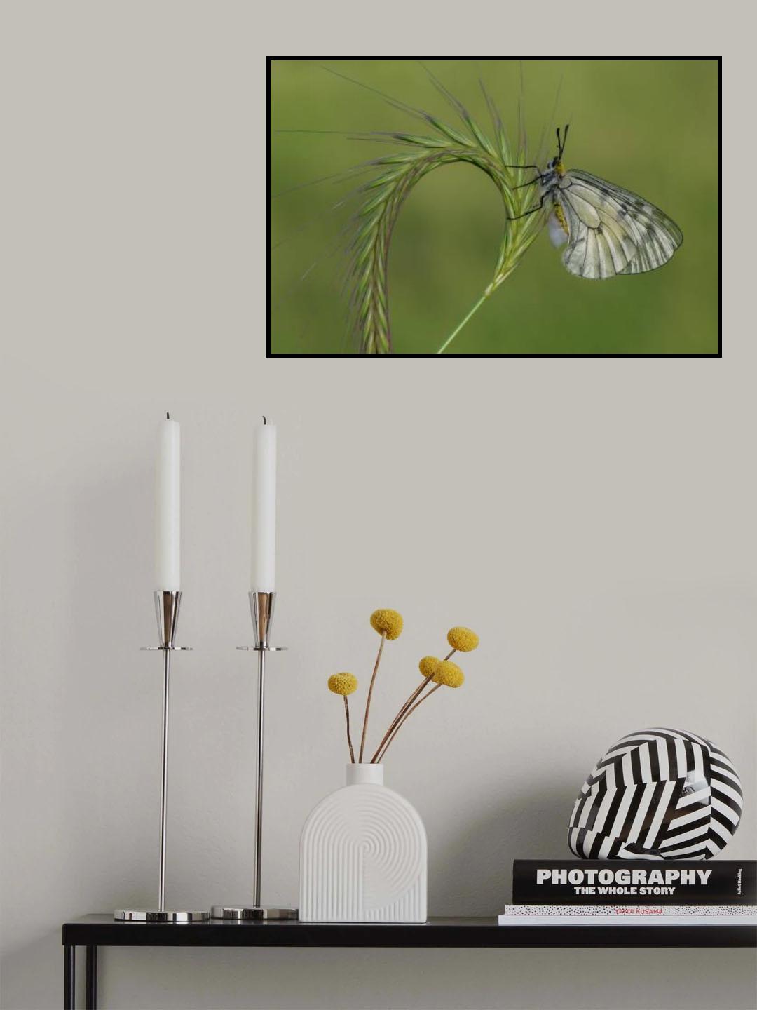 radial Poster och Canvastavla