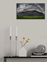 whales mouth Poster och Canvastavla