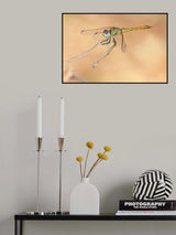 The rest Poster och Canvastavla