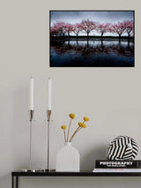 Spring rain Poster och Canvastavla