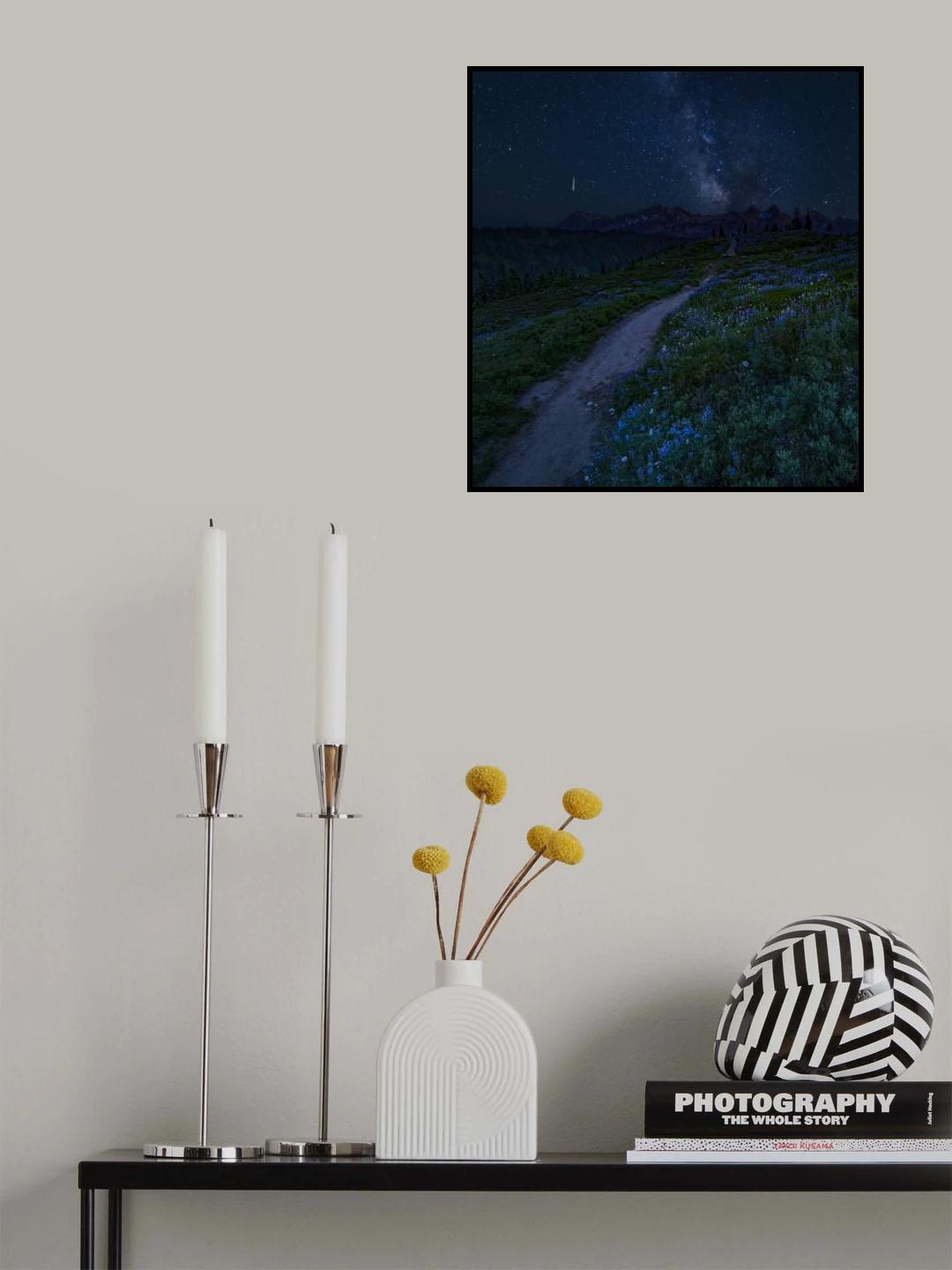 A shining star of August Poster och Canvastavla