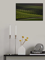 Moravia 14 Poster och Canvastavla