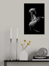 Pelican Poster och Canvastavla