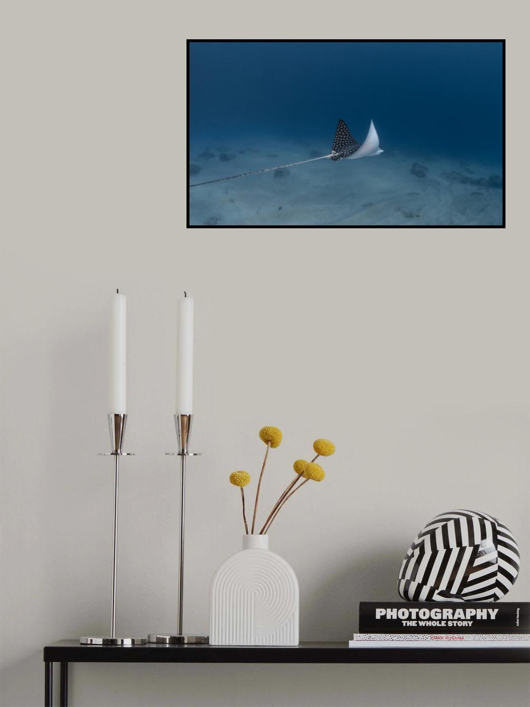 Spotted Eagle Ray Poster och Canvastavla