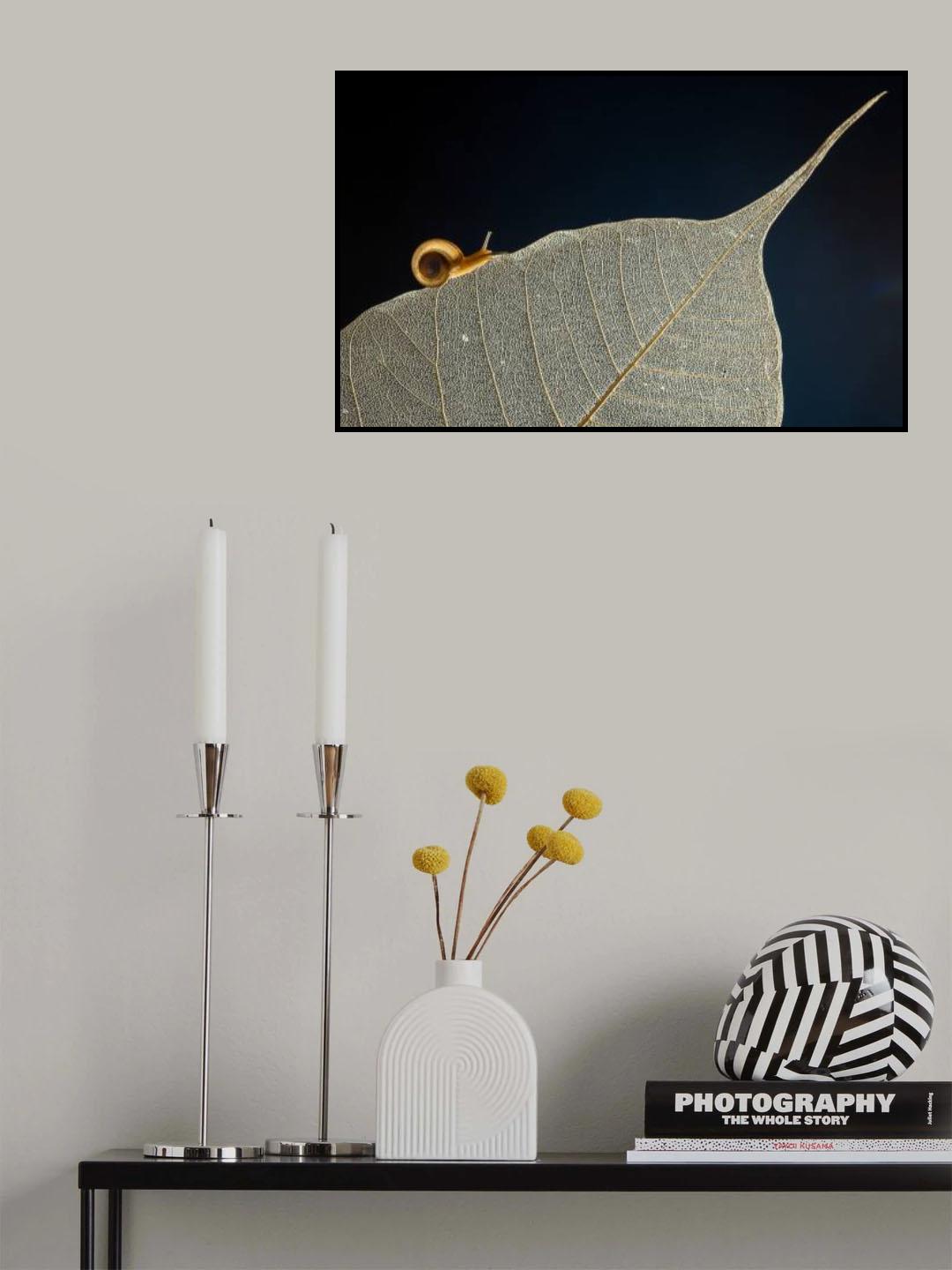 Snail Poster och Canvastavla