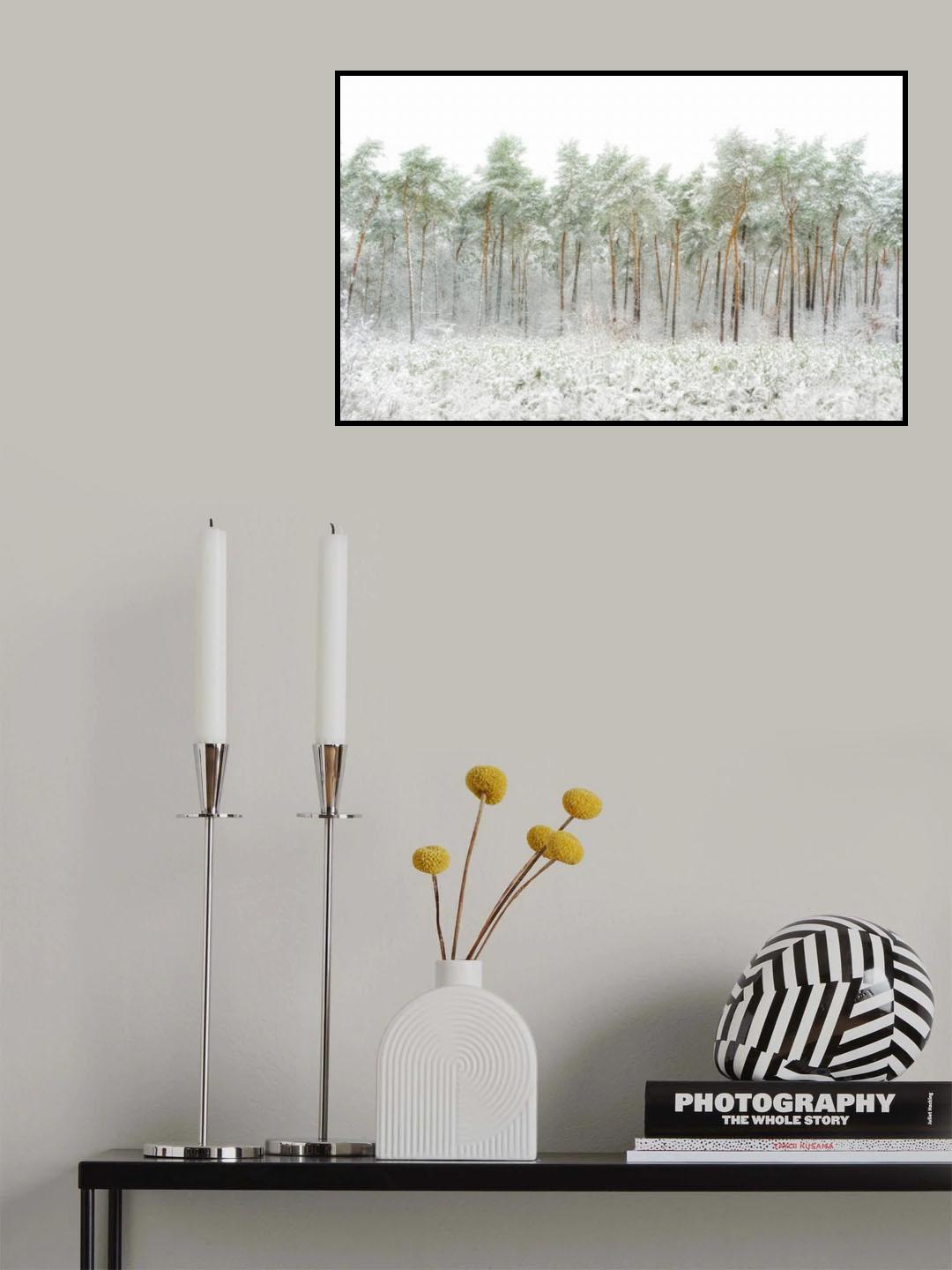 Snow world Poster och Canvastavla
