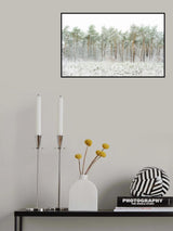 Snow world Poster och Canvastavla