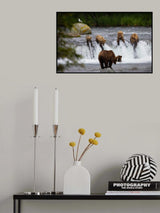 Waiting the salmon Poster och Canvastavla