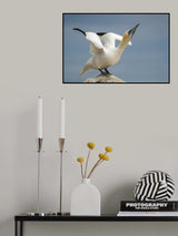 The statue Poster och Canvastavla