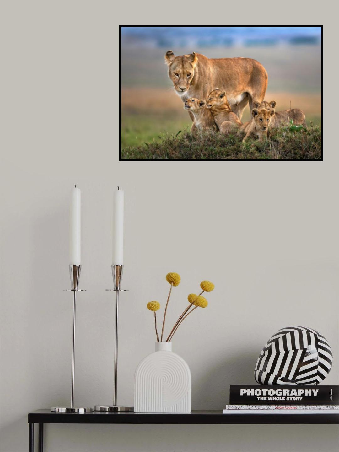 Mom lioness with her cubs Poster och Canvastavla