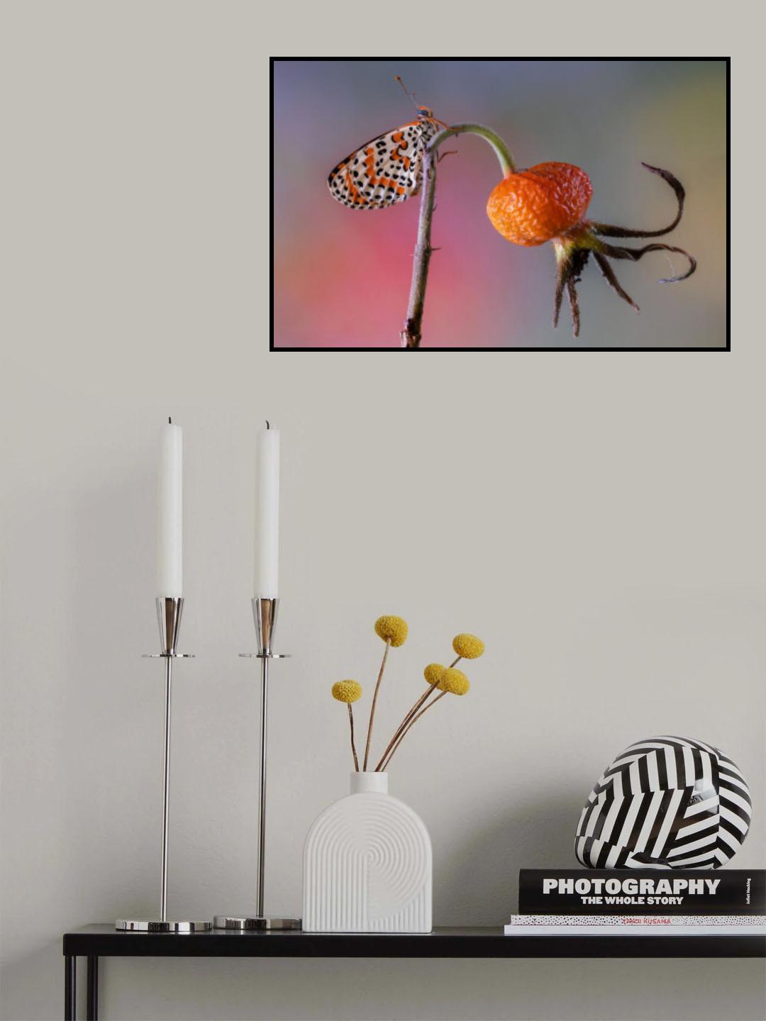 Butterfly rides octopus Poster och Canvastavla