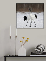 In love Poster och Canvastavla