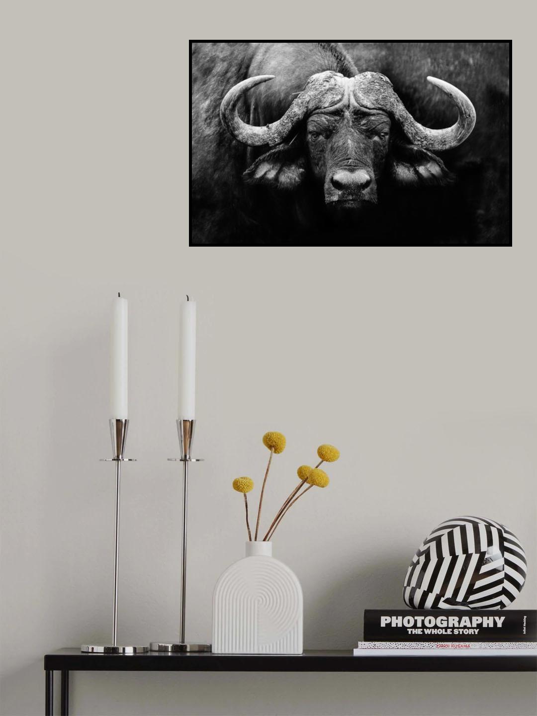The Stare Poster och Canvastavla
