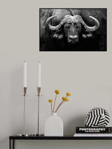 The Stare Poster och Canvastavla