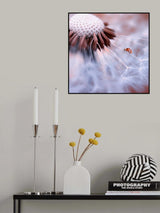 Ladybug on the mushrooms Poster och Canvastavla