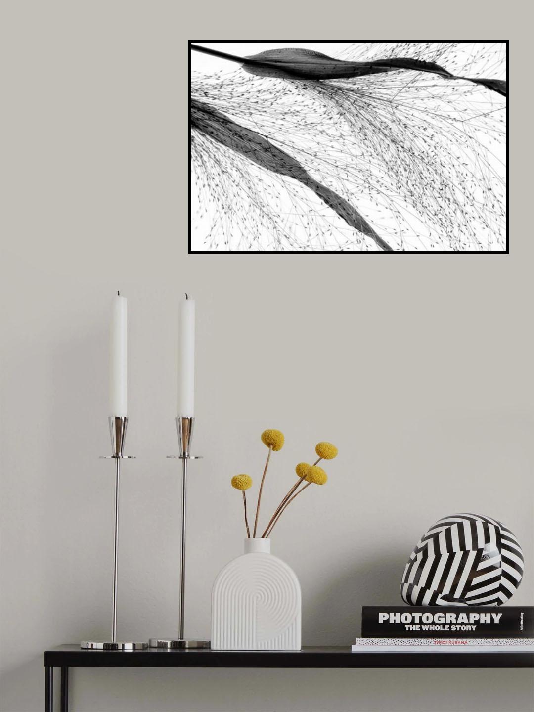 Black grass Poster och Canvastavla