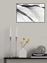 Black grass Poster och Canvastavla