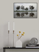 Reflection After Rain Poster och Canvastavla