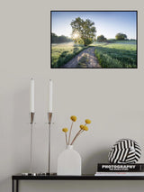 Spring Path Poster och Canvastavla