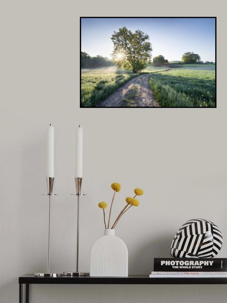 Spring Path Poster och Canvastavla