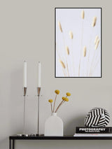Bunny Grass No 2 Poster och Canvastavla