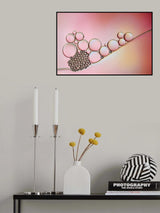 Pearlescent pastel Poster och Canvastavla