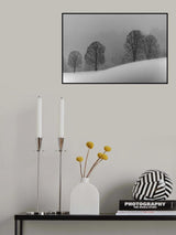 snow white Poster och Canvastavla