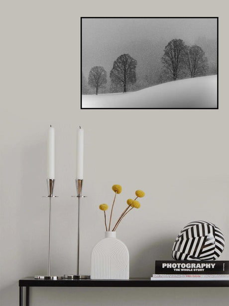 snow white Poster och Canvastavla
