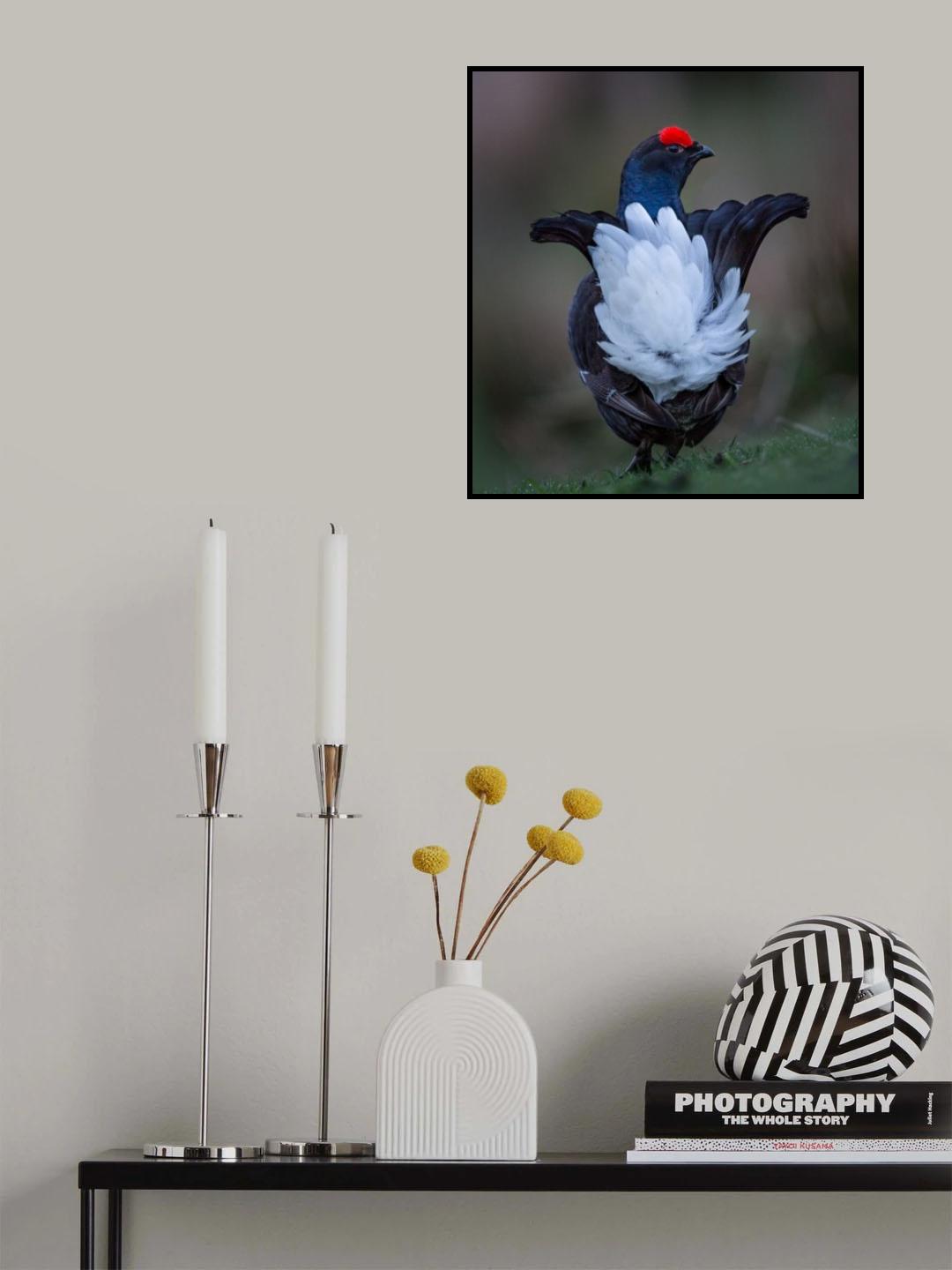 LookingToLek Poster och Canvastavla
