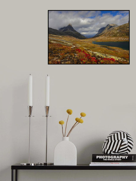 Alnesdalen Poster och Canvastavla