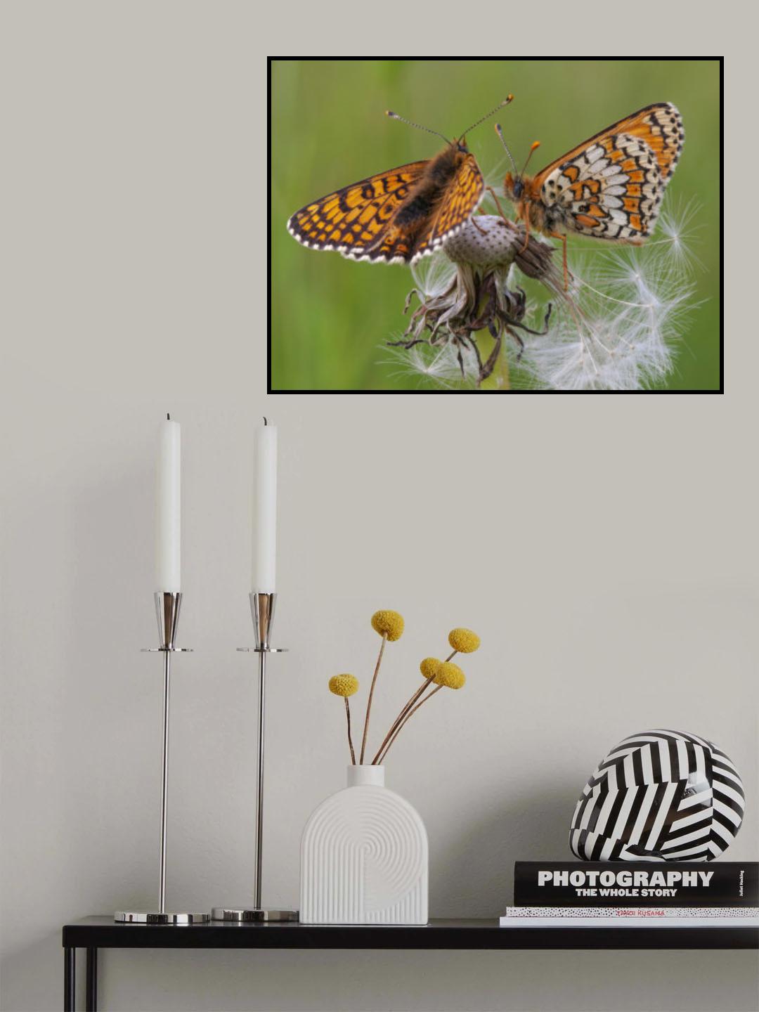 Sympathy Poster och Canvastavla