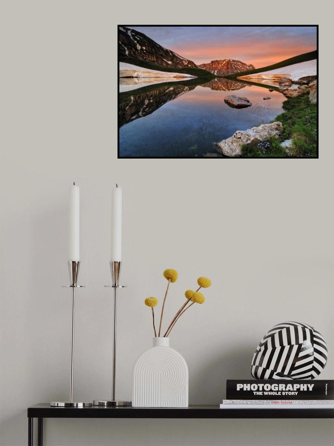 Dragon dreams Poster och Canvastavla