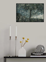 Rocks and a tree Poster och Canvastavla