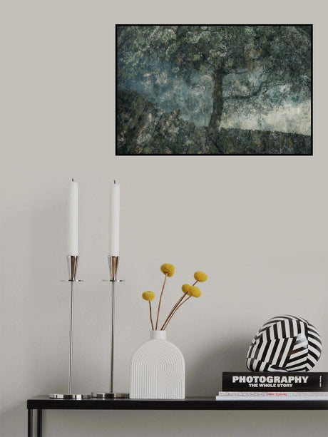 Rocks and a tree Poster och Canvastavla