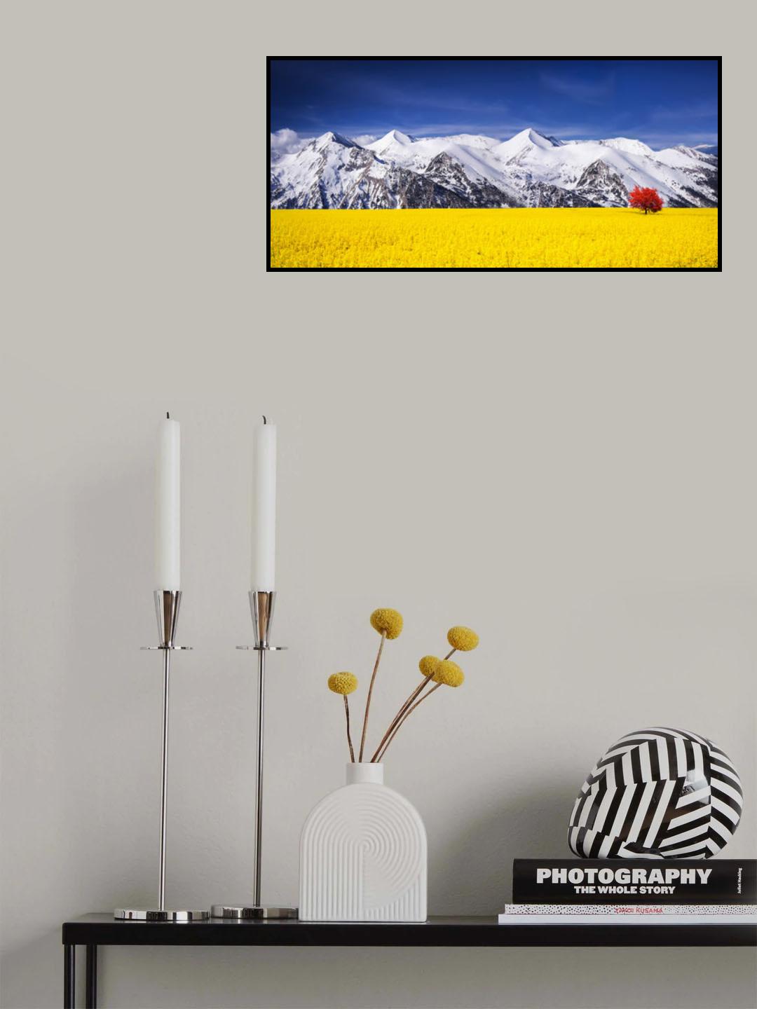 Orange tree Poster och Canvastavla