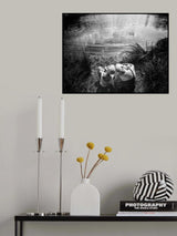 Poster och Canvastavla