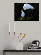 Deep affection Poster och Canvastavla