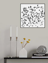 Birds Poster och Canvastavla