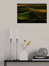 Sunset Light and Shadow Poster och Canvastavla